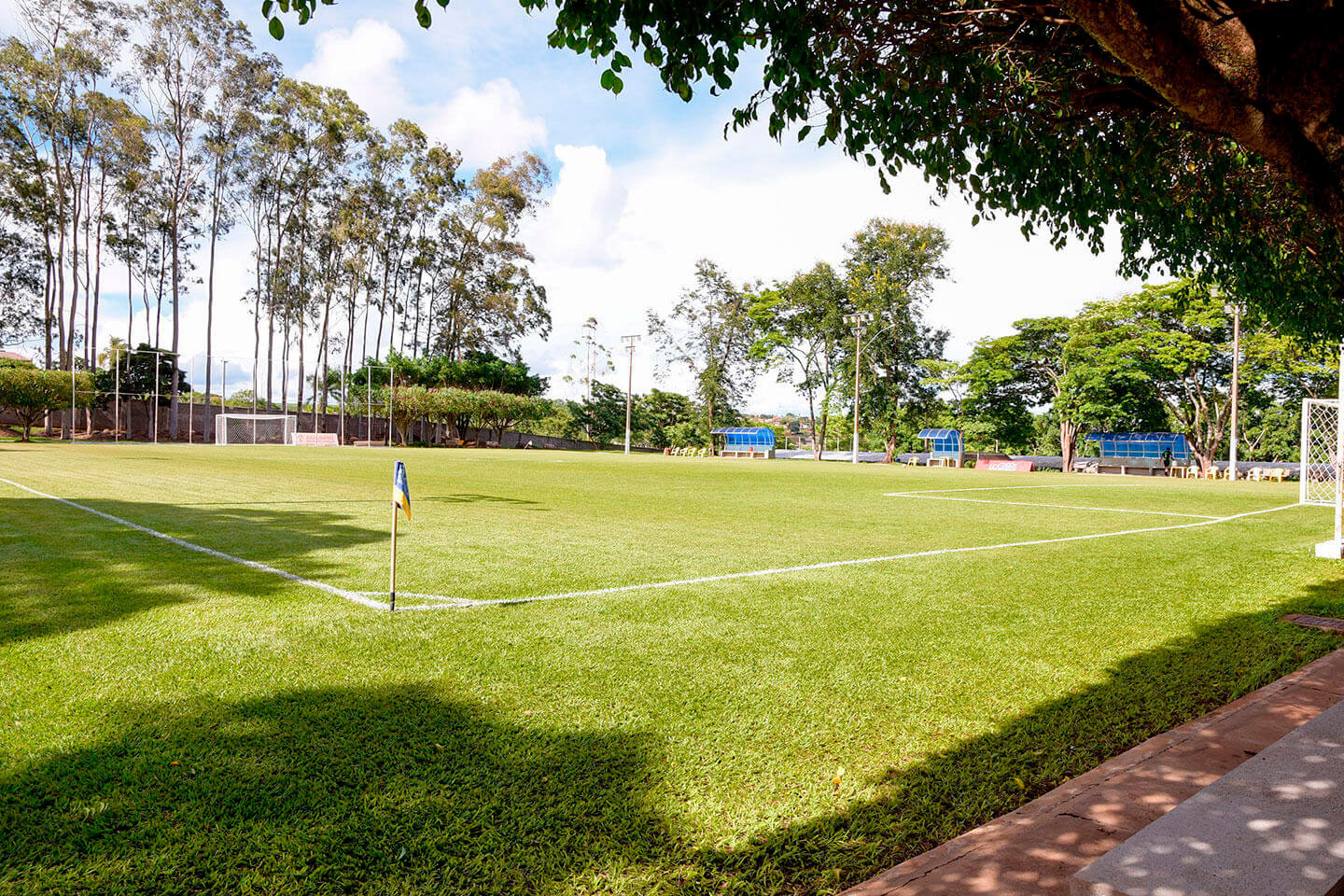 Descrição da Imagem